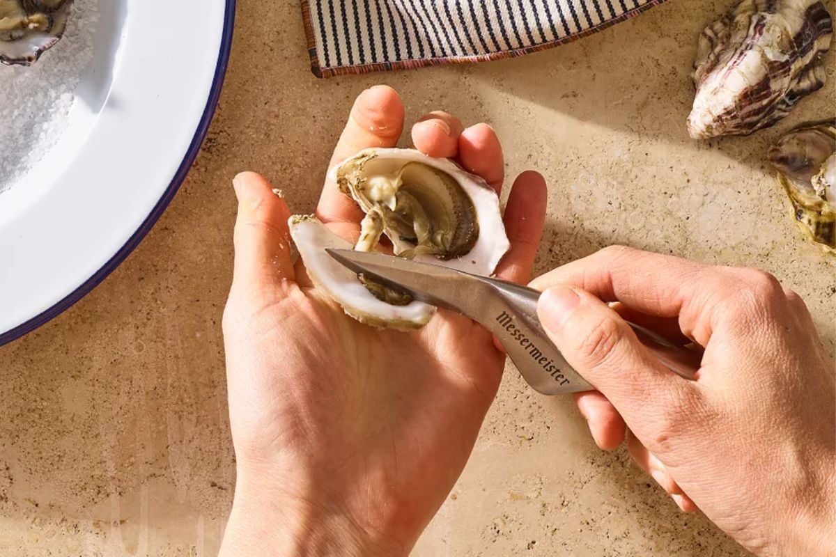 The 5 Greatest Oyster Knives, Utilized by a Skilled Chef